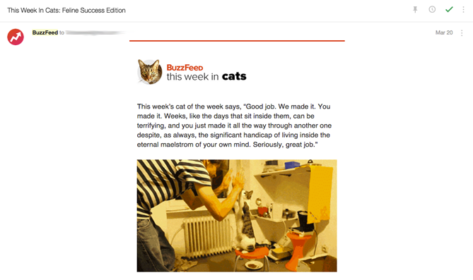 buzzfeed-cat-newsletter